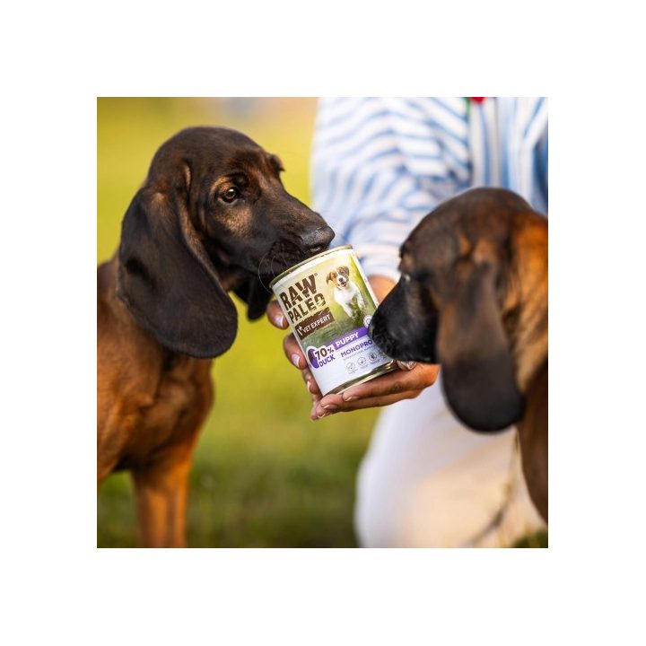 VETEXPERT Raw Paleo Adult Monoprotein Duck - wet dog food - 800 g