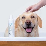 VETEXPERT Hypoallergenic Shampoo - shampoo for dogs and cats - 250ml