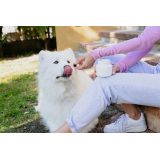 VIRBAC Movoflex S Joints - supplements for dogs - 30 pcs