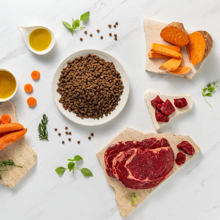 VETEXPERT Raw Paleo Ultra Mini Puppy Beef - dry food for puppies of small breeds - 2 kg