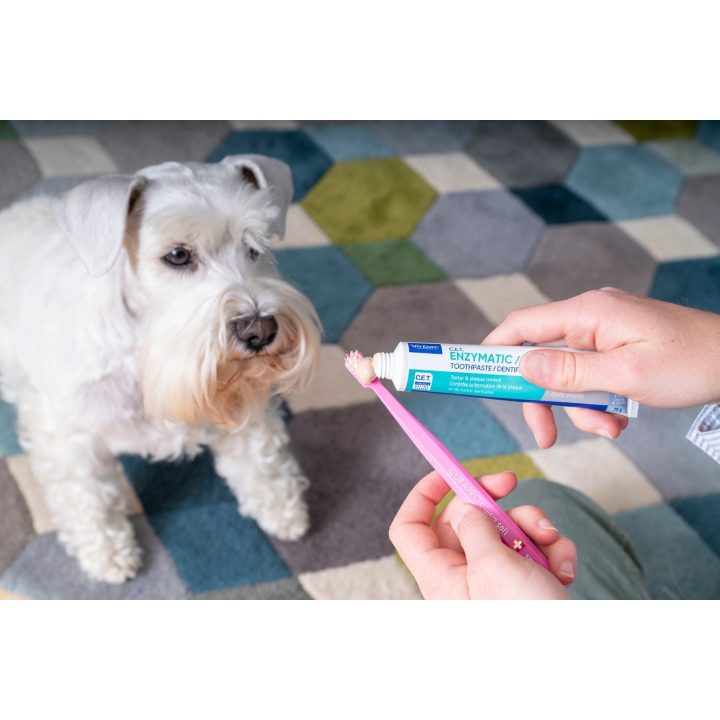 VIRBAC C.E.T. - enzymatic toothpaste for dogs and cats - 70 g