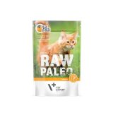 VETEXPERT Raw Paleo Adult Cat Turkey - wet cat food - 100 g