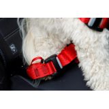 ZOLUX Travel Safe S red - dog harness