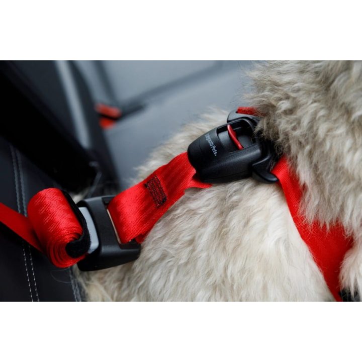 ZOLUX Travel Safe S red - dog harness