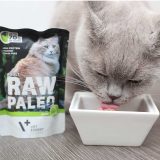 VETEXPERT Raw Paleo Adult Cat Venison - wet cat food - 100 g