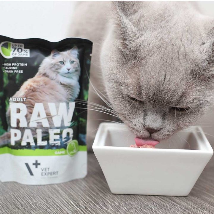 VETEXPERT Raw Paleo Adult Cat Venison - wet cat food - 100 g
