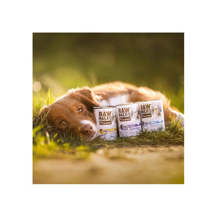 VETEXPERT Raw Paleo Adult Monoprotein Turkey - wet dog food - 800 g