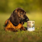 VETEXPERT Raw Paleo Puppy Monoprotein Cod - wet food for puppies - 400 g