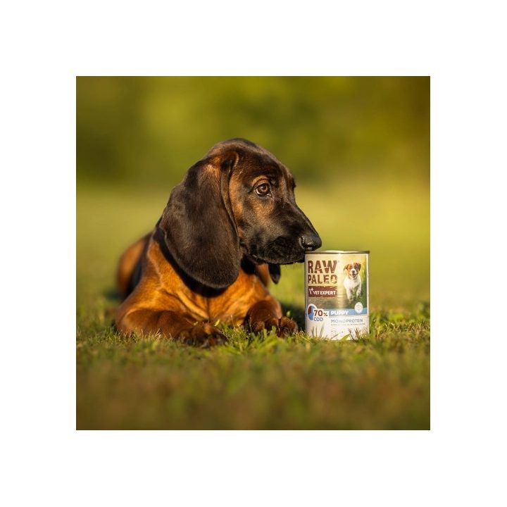 VETEXPERT Raw Paleo Puppy Monoprotein Cod - wet food for puppies - 400 g
