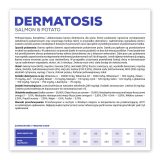 VETEXPERT Veterinary Diet Dermatosis Dog Salmon & Potato - dry dog food - 2 kg