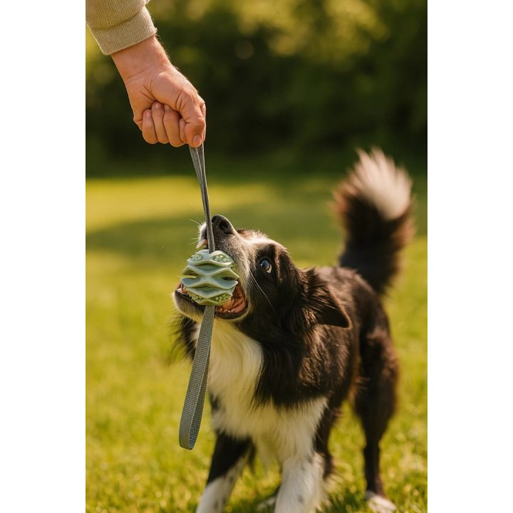 ZOLUX Ball TPR Outdoor Blue - Dog toy