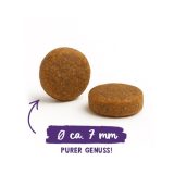 BOSCH Sanabelle Adult Ostrich & Blueberries - dry cat food - 2kg