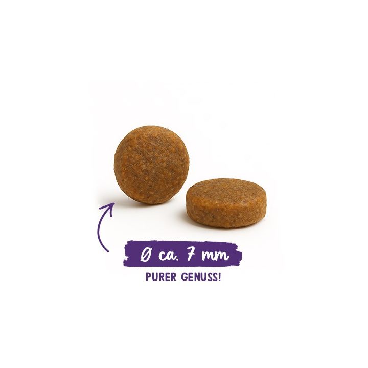 BOSCH Sanabelle Adult Ostrich & Blueberries - dry cat food - 2kg