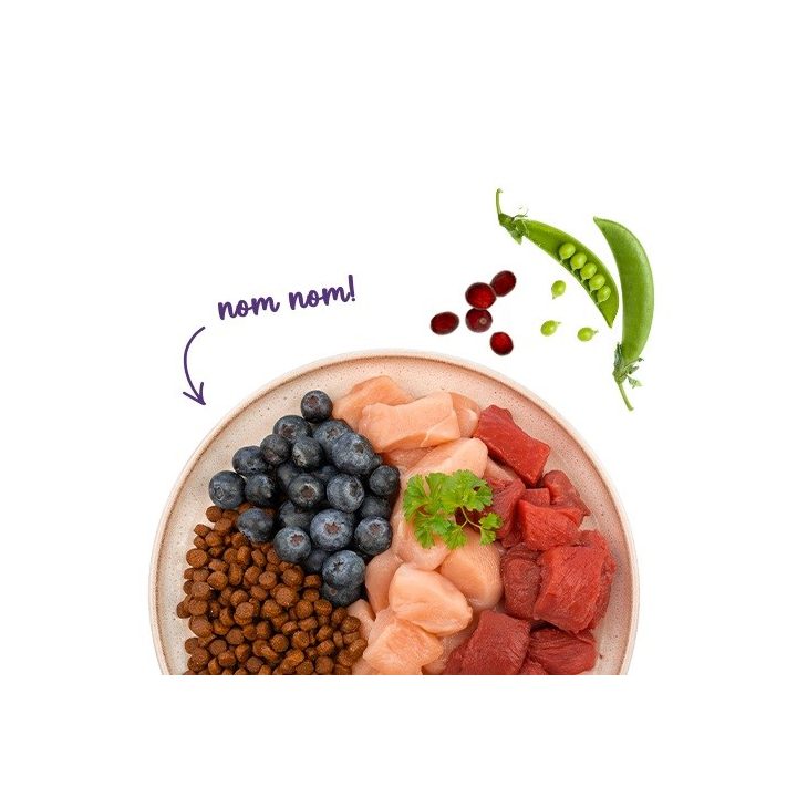 BOSCH Sanabelle Adult Ostrich & Blueberries - dry cat food - 2kg