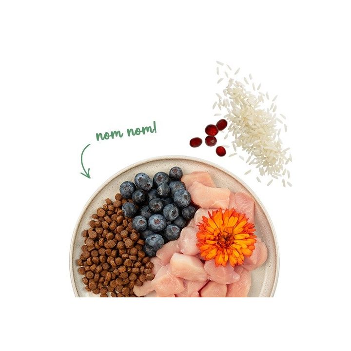 BOSCH Sanabelle Sensitive with chicken - dry cat food - 2kg