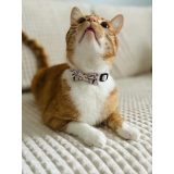 ZOLUX Chatouille beige - cat collar