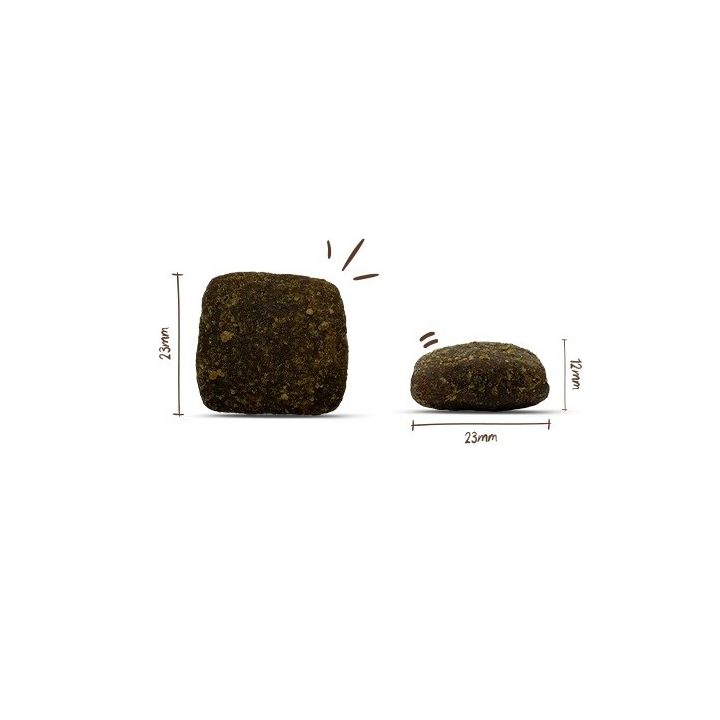 BOSCH Soft Maxi Water buffalo and sweet potatoes - dry dog food - 2 5kg