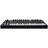 MOOG Messenger - a monophonic analog keyboard synthesizer