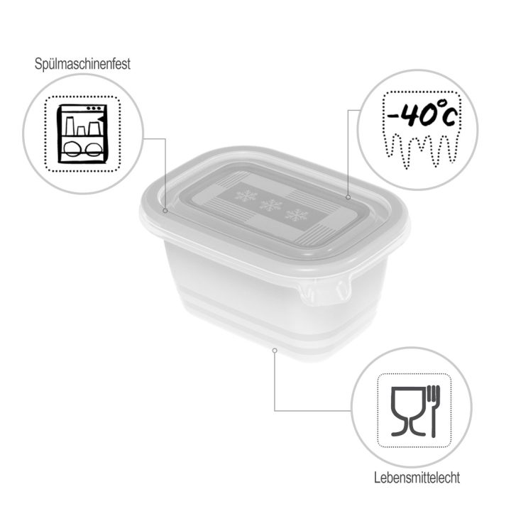 ROTHO Freeze - freezer container - 6x250ml