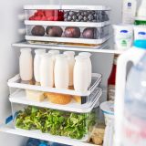 ROTHO Rondo Cauma - food storage container - 1 2l