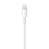 Apple Lightning to USB Cable (1? m)
