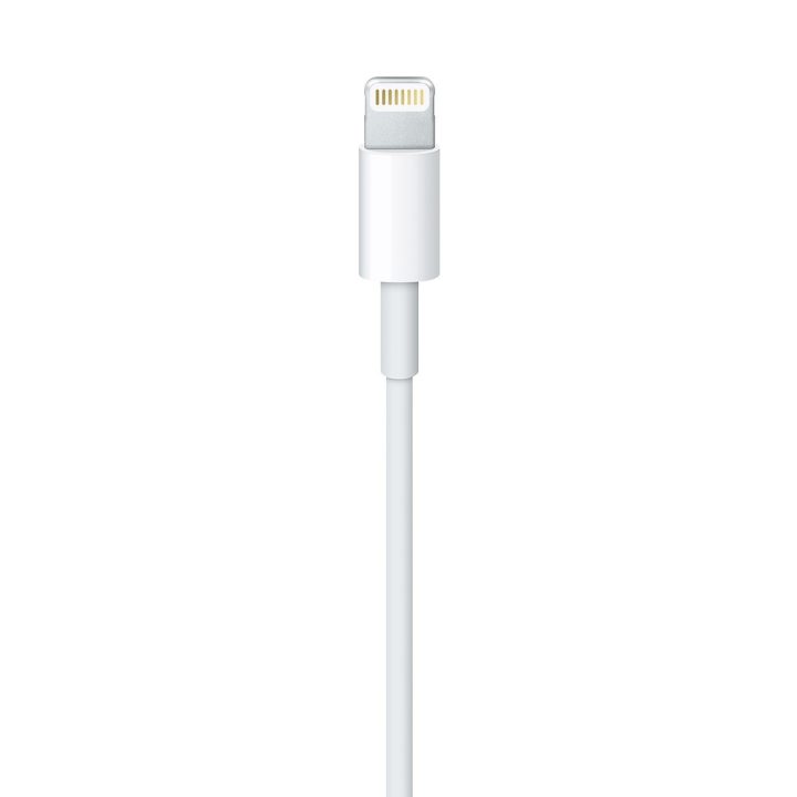 Apple Lightning to USB Cable (1? m)