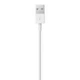 Apple Lightning to USB Cable (1? m)