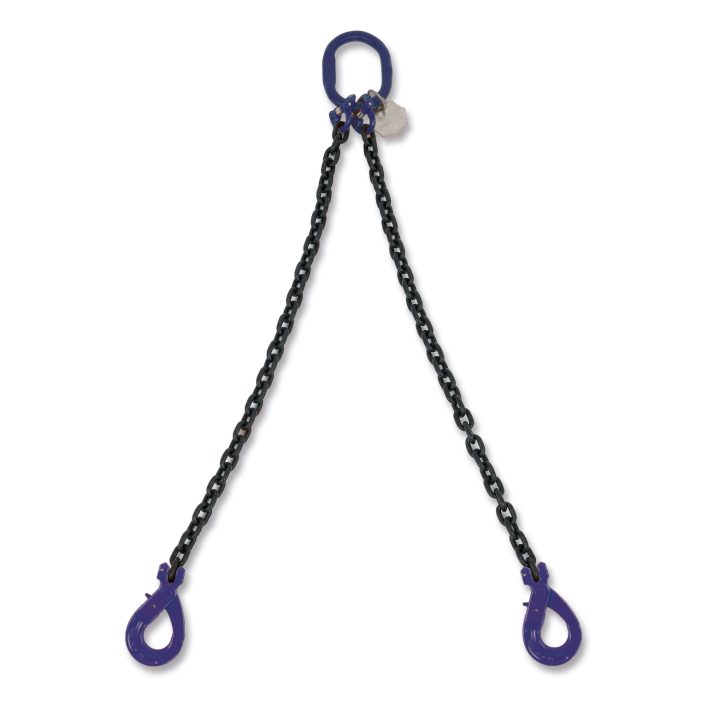 Beta 8092SL/G10 D6-4 Pendente per sollevamento catena a 2 bracci, ganci Self-Locking G10 080921204