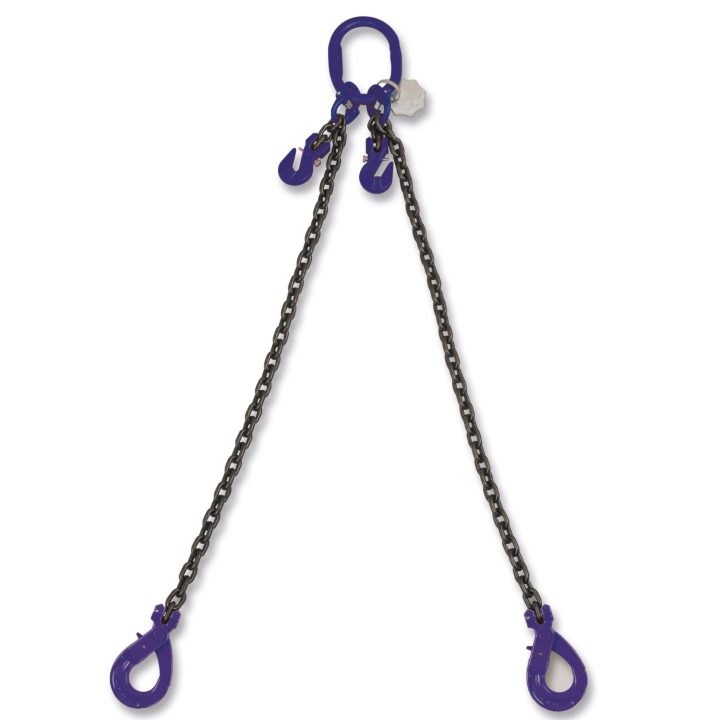 Beta 8097SL/G10 D10-1 Pendente di sollevamento, gancio Self-Locking e accorciatore, catena 2 bracci, G10 080971251