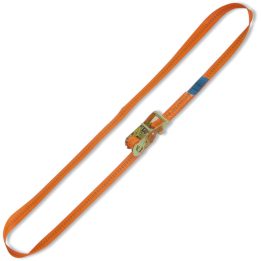 Beta 8186 10 Sistema di ancoraggio ad anello LC 2000kg con cricchetto tenditore nastro PES 081860010