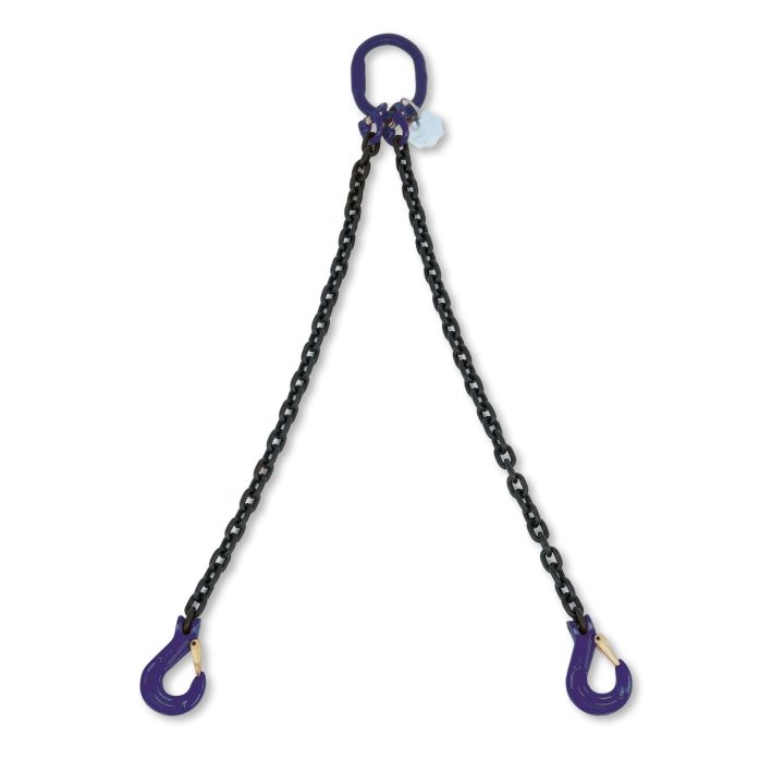 Beta 8092/G10 D10-3 Pendente per sollevamento catena a 2 bracci G10 080921053
