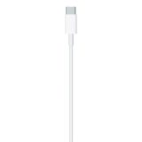 Apple USB-C to Lightning Cable (2m)