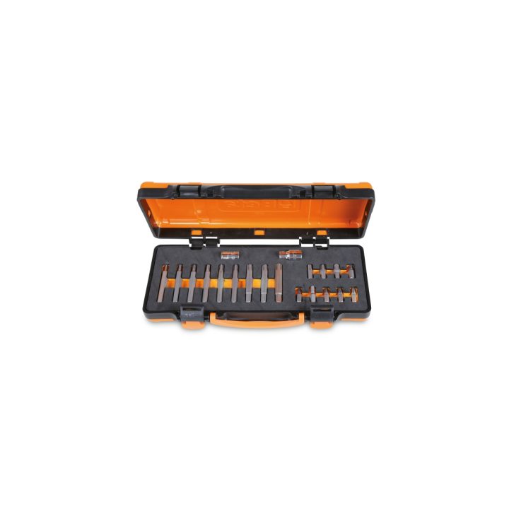 Beta 867/C20 18 inserti con impronta RIBE(R) attacco esagonale 10 mm, 2 accessori e 1 portainserti a T snodato (art. 867RIBE(R),