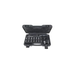 Beta 960PI/C19 Assortimento di 19 utensili per la pulizia sedi iniettori 009600217