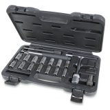 Beta 960PI/C19 Assortimento di 19 utensili per la pulizia sedi iniettori 009600217