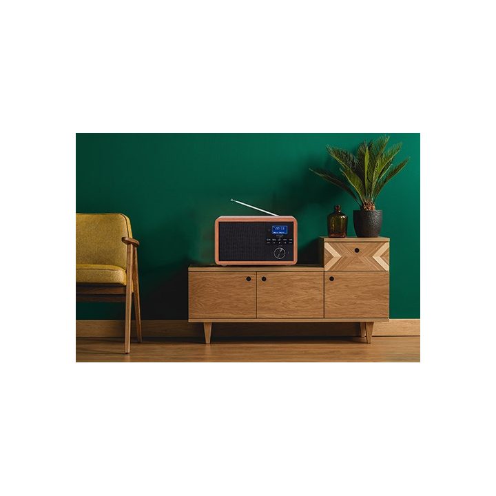 Adler AD 1184 radio Portable Digital Black Wood