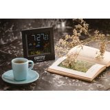Camry CR 1166 Weather station