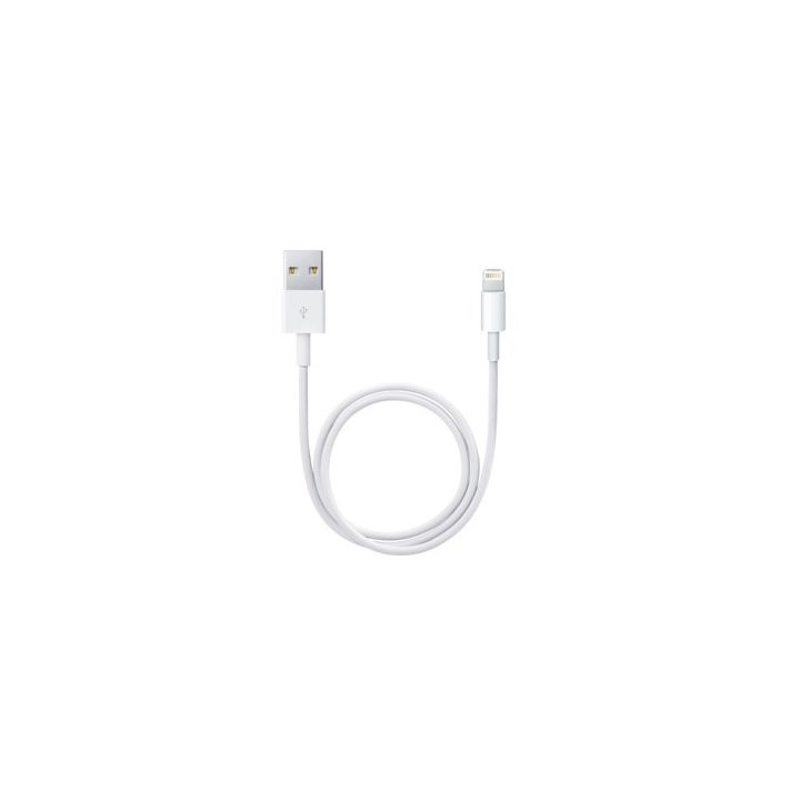 Apple Lightning to USB Cable (0.5 m)