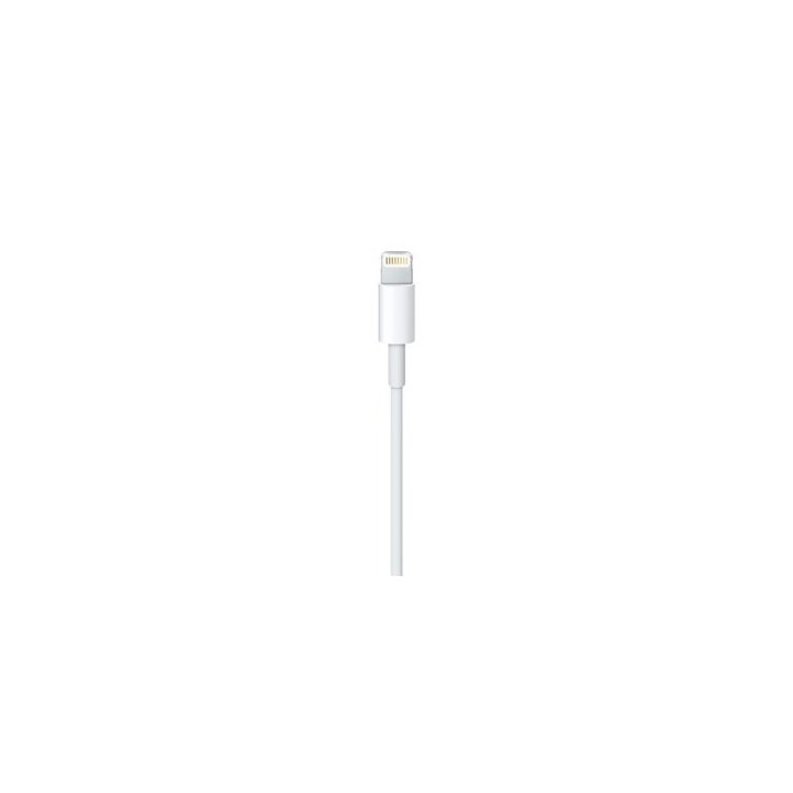Apple Lightning to USB Cable (0.5 m)