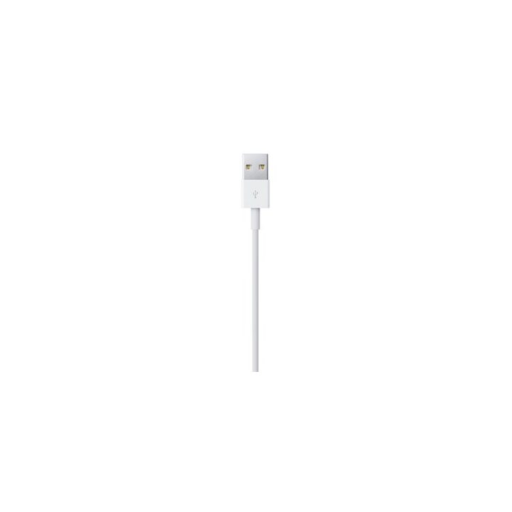 Apple Lightning to USB Cable (0.5 m)