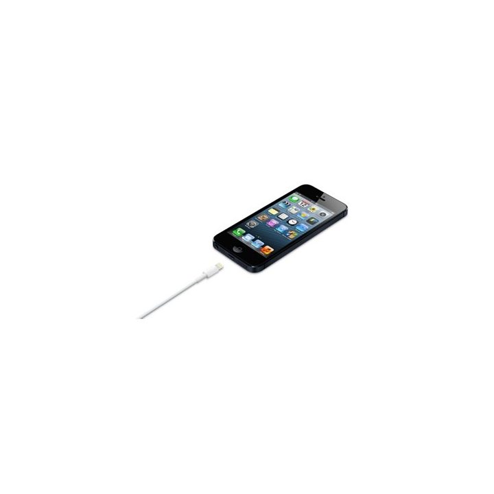 Apple Lightning to USB Cable (0.5 m)