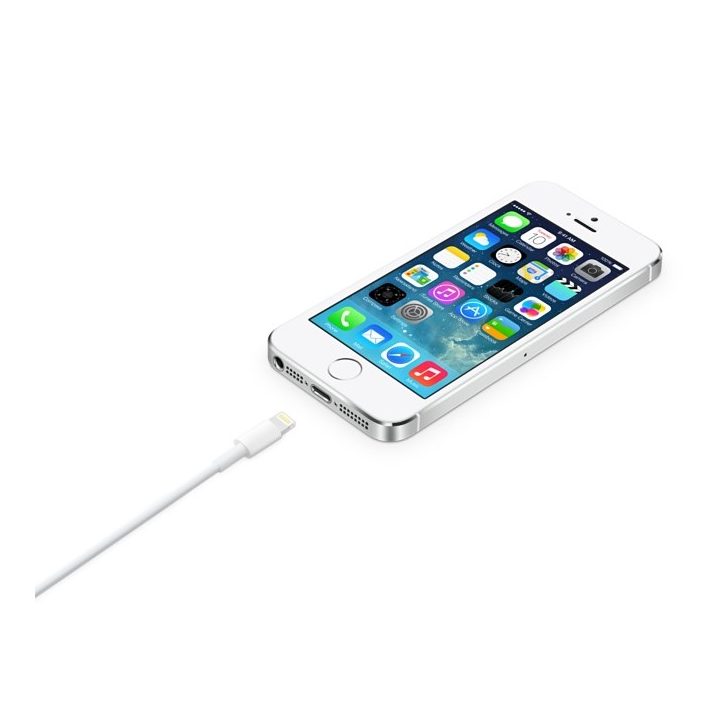 Apple Lightning to USB Cable (2 m)