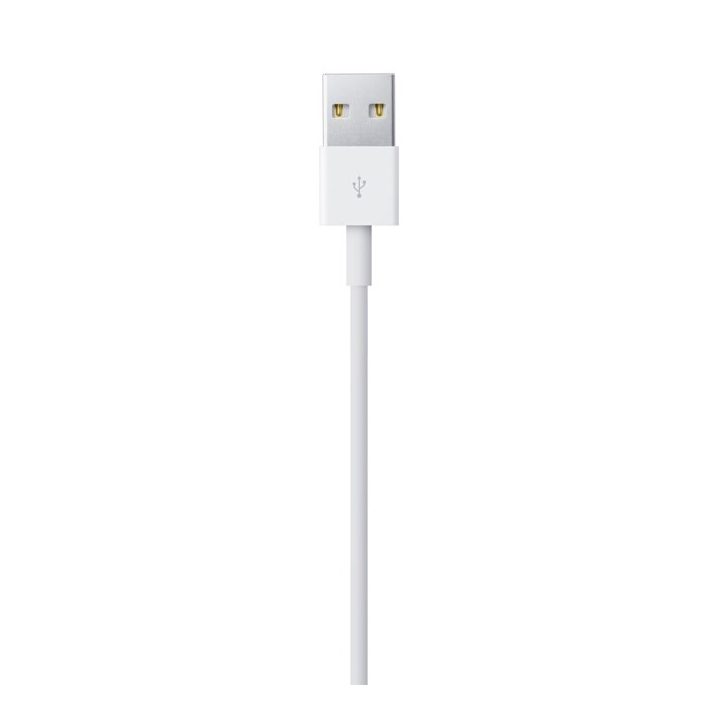Apple Lightning to USB Cable (2 m)