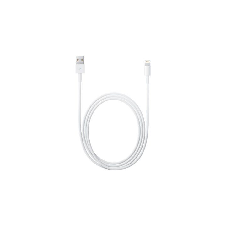 Apple Lightning to USB Cable (2 m)