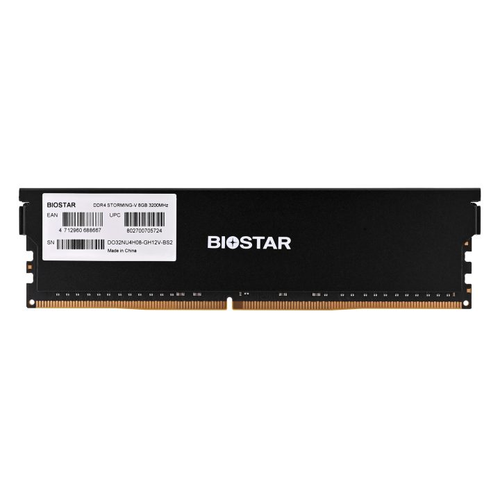 Biostar DDR4 Storming V memory module 8 GB 1 x 8 GB 3200 MHz (DX32NU4H08)