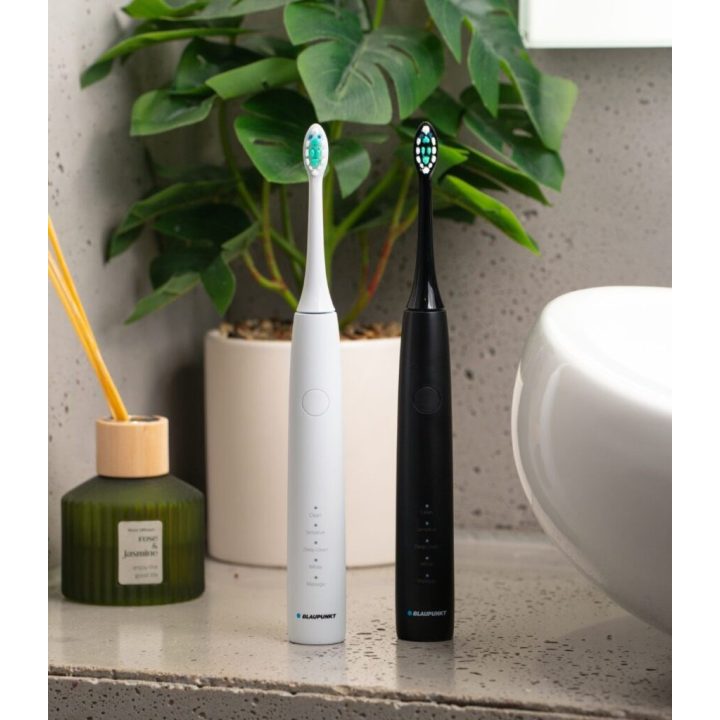 Blaupunkt DTS201BK electric toothbrush black