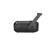 Blaupunkt ER10 portable radio with torch