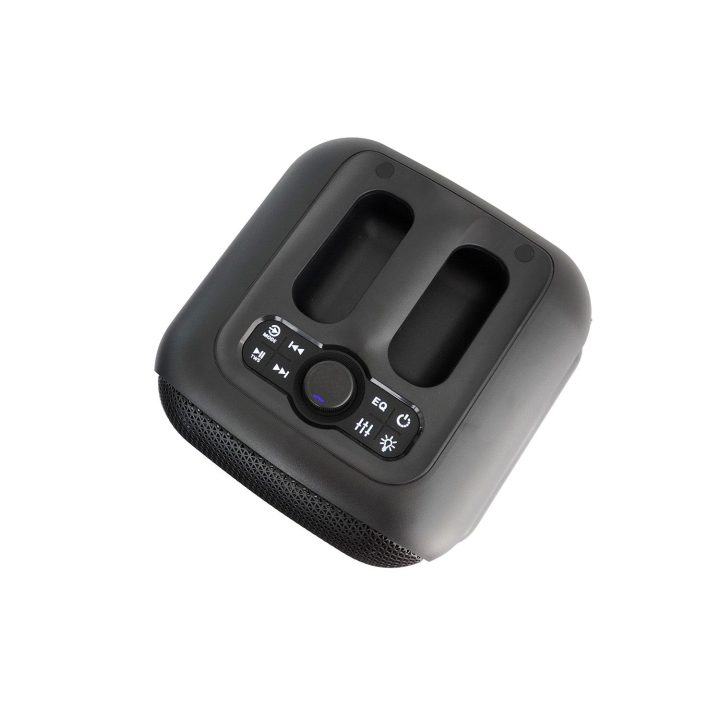 Blaupunkt PB6LED Portable / party speaker black
