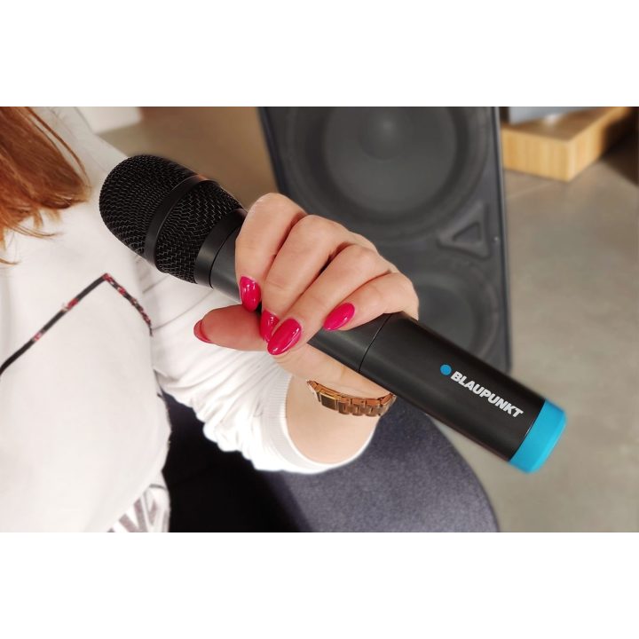 Blaupunkt UHF WM40U Wireless Microphone