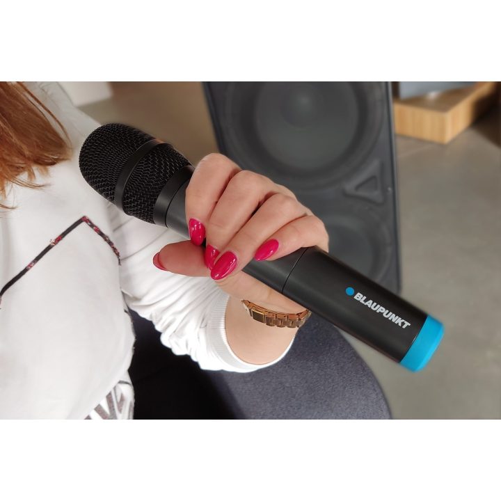 Blaupunkt UHF WM60UDB Dual Wireless Microphone